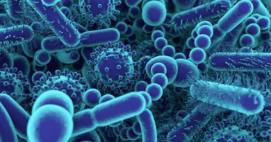 Australie : L'ulcère mangeur de chair est un mystère.