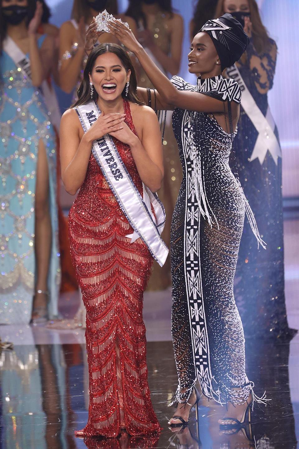 Miss Univers 2021 Qui sont les reines de beauté qui représenteront l