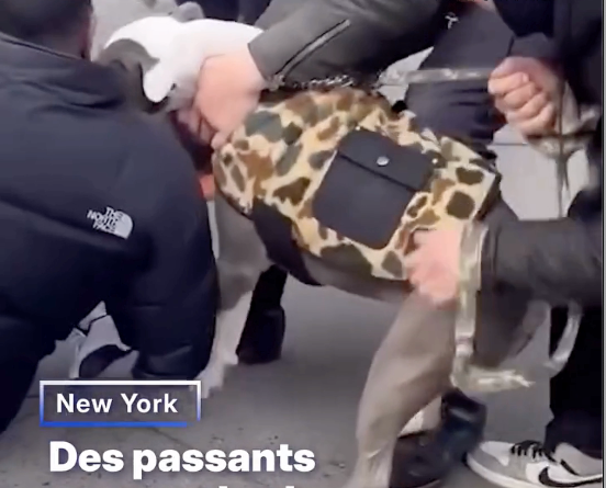 Héros du quotidien à New York !